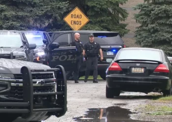 Taylor Police Michigan