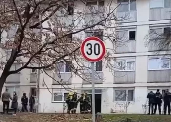 Starija ŽENA POVREĐENA u POŽARU na BANOVOM BRDU